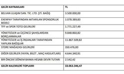 İşte Vanspor’un mali durumu!